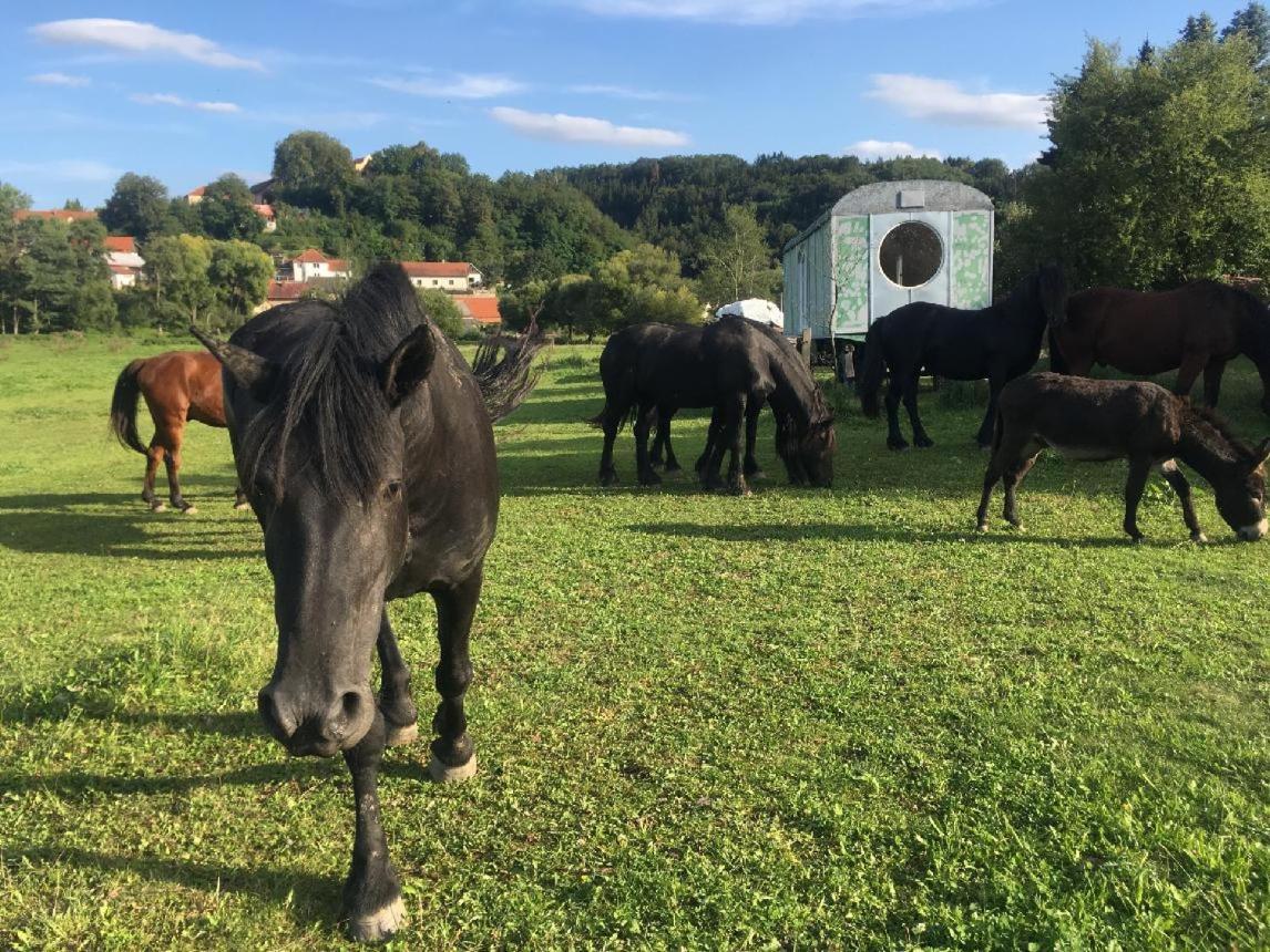 Glamping - Stylova Maringotka V Srdci Ladova Kraje, Pobliz Hlavniho Mesta Prahy Stribrna Skalice المظهر الخارجي الصورة