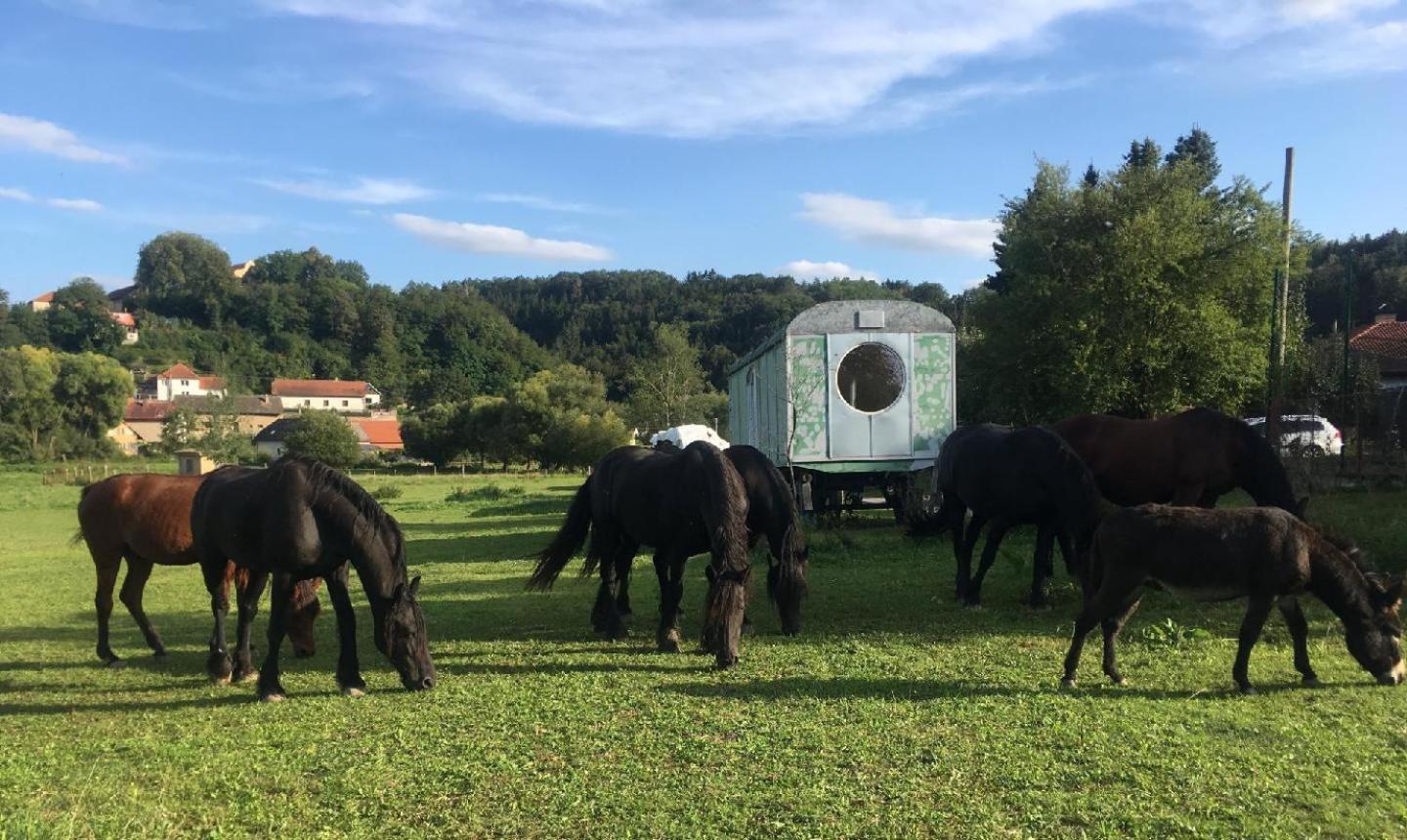 Glamping - Stylova Maringotka V Srdci Ladova Kraje, Pobliz Hlavniho Mesta Prahy Stribrna Skalice المظهر الخارجي الصورة